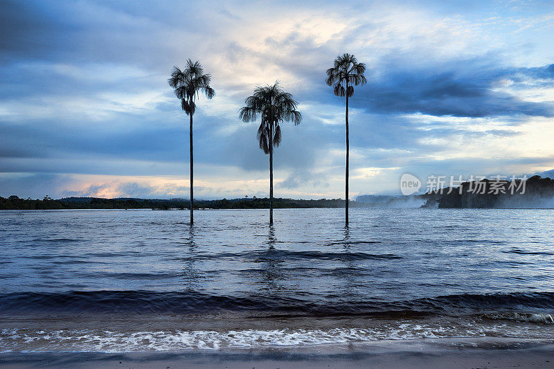 有三棵棕榈树的Canaima泻湖。Canaima NP、委内瑞拉